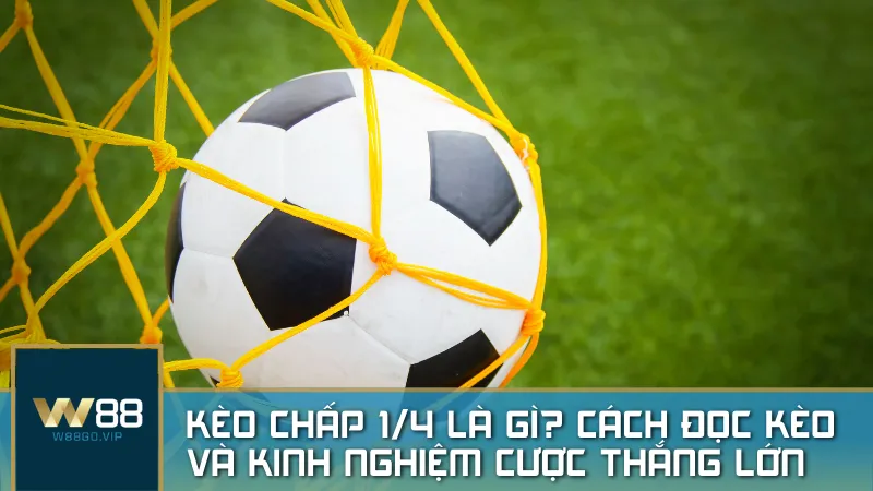 Kèo chấp 1/4 là gì? Cách đọc kèo và kinh nghiệm cược thắng lớn
